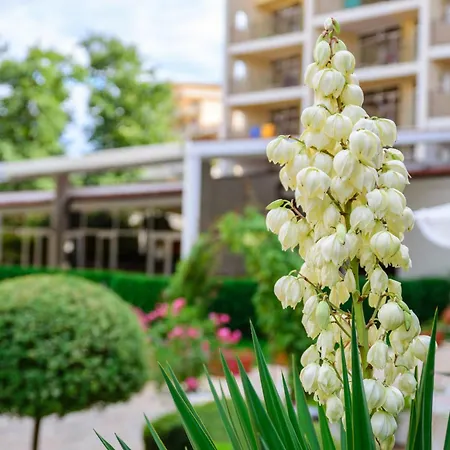 Madara Park Hotel Sables d'or