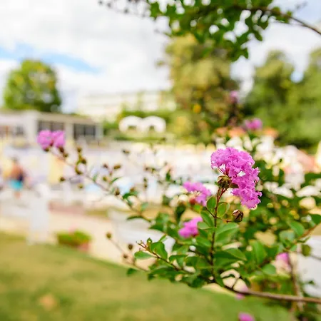 Madara Park Hotel 4*