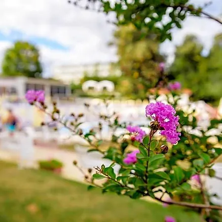 Madara Park Aranyhomok