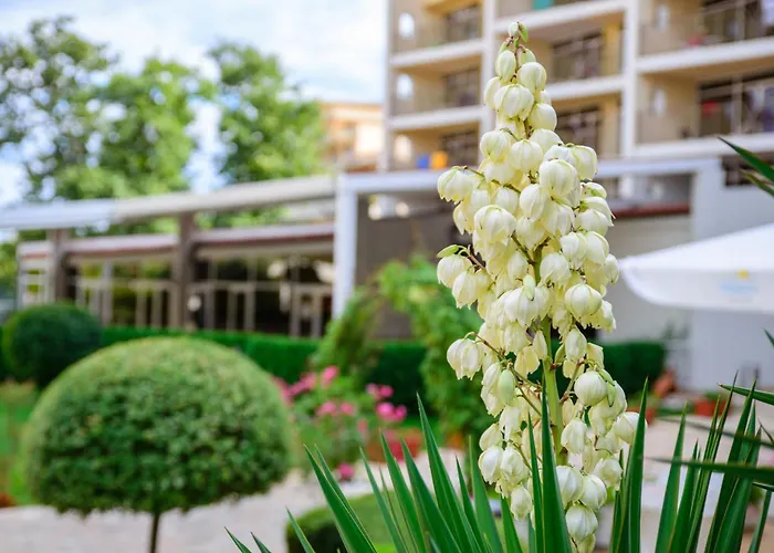 Madara Park - Hotell Golden Sands